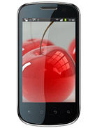 Best available price of Celkon A19 in Albania