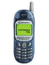 Best available price of Motorola T190 in Albania