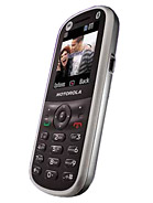 Best available price of Motorola WX288 in Albania