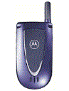 Best available price of Motorola V66i in Albania